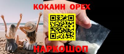 гидра Будённовск