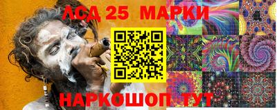 гидра Будённовск