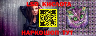 гидра Будённовск