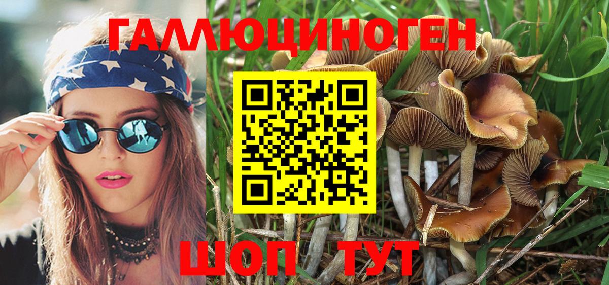 где купить наркотик  Галлюциногенные грибы Magic Shrooms  Вход с VPN  Удомля 